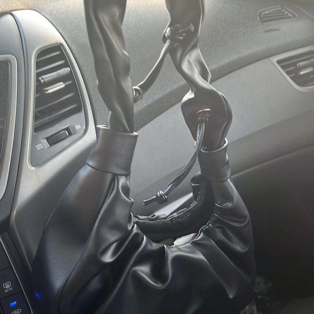 Black luxury Purse